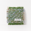 Lime / One Size/12*12cm
