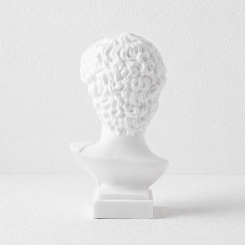 CouldNook Miniature David Bust Statue - Aesthetic Resin Desktop Decor