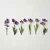 Purple / One Size/1Pack/12PCS