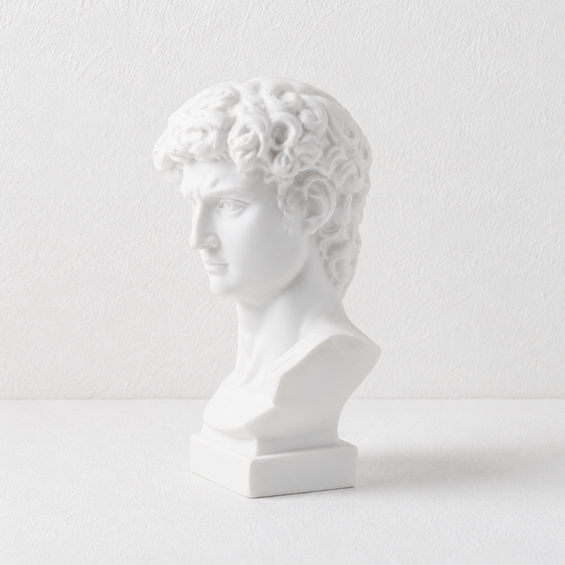 CouldNook Miniature David Bust Statue - Aesthetic Resin Desktop Decor
