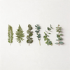 Green / One Size/1Pack/12PCS
