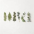 CouldNook Poetry & Plants Waterproof Stickers 12PCS Set - Aesthetic Floral PET Decals