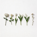 CouldNook Poetry & Plants Waterproof Stickers 12PCS Set - Aesthetic Floral PET Decals