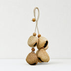 CouldNook Natural Seed Shell Charm - Braided Cord and Clasp