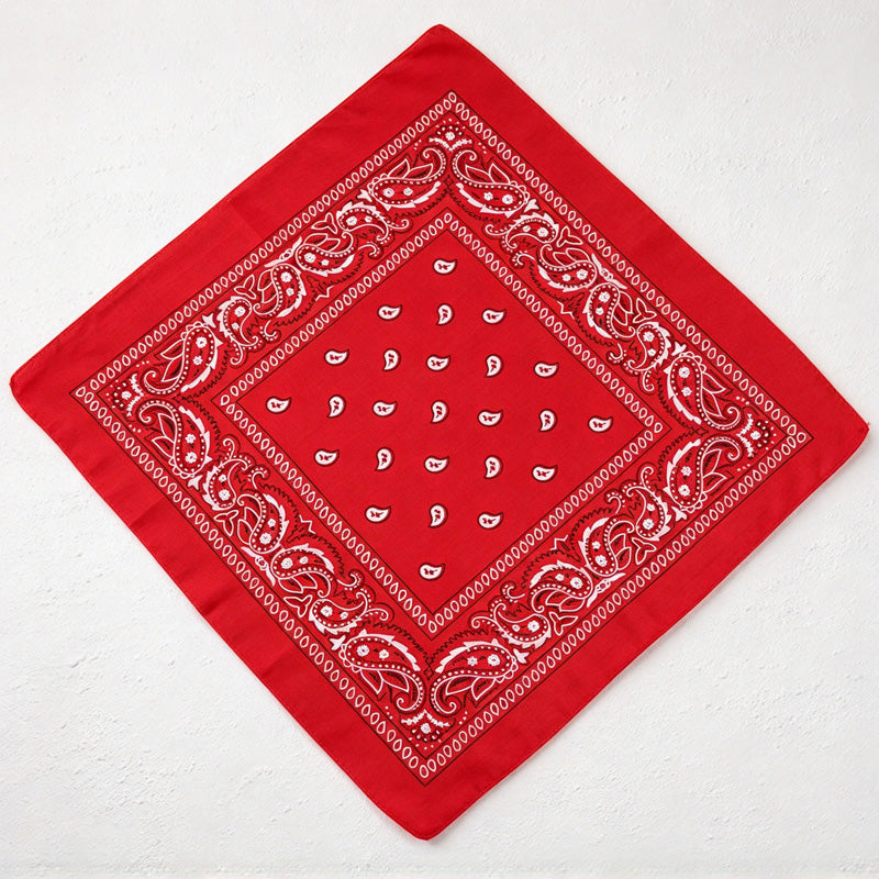 CouldNook Paisley Bandana - Square Shape And Ornamental Border