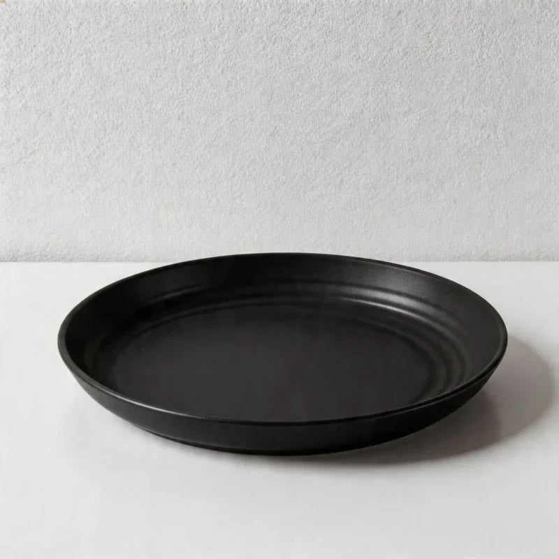 Multicolor Round Plastic Plates - Lightweight Unbreakable Dinner Plates for Daily Use（Set of 10）