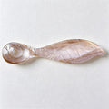 CouldNook Compact Shell Dessert Spoon - Fish Shaped Bowl