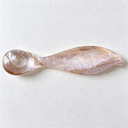 CouldNook Compact Shell Dessert Spoon - Fish Shaped Bowl