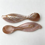 CouldNook Natural Shell Tasting Spoon - Fish Shaped Bowl
