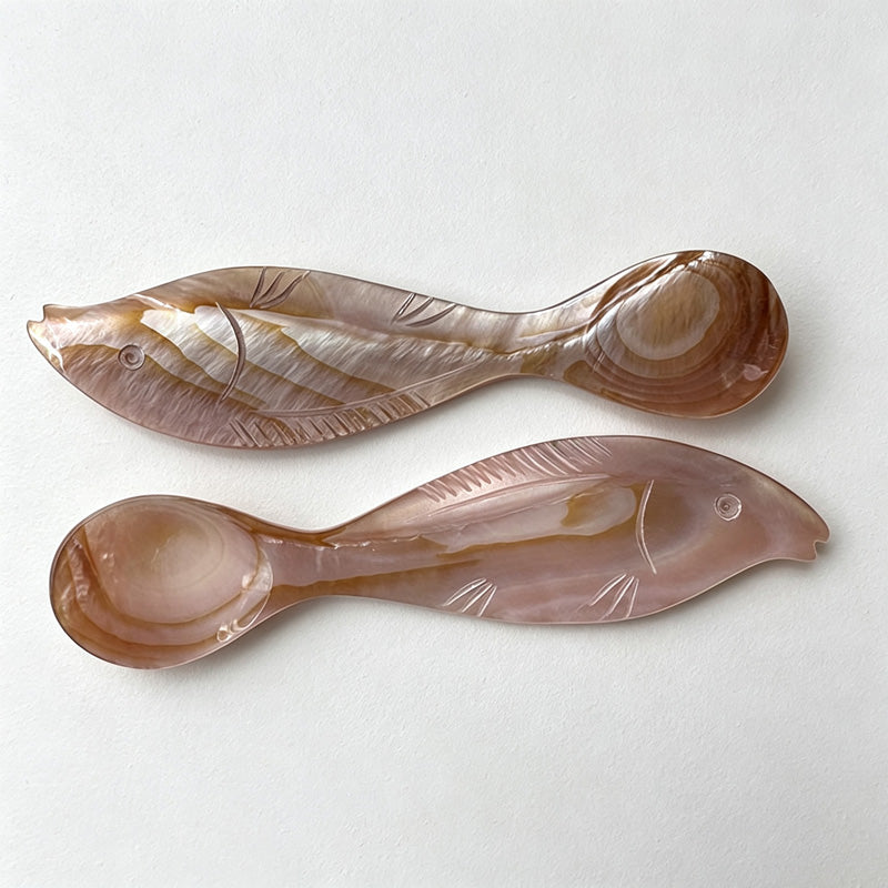CouldNook Natural Shell Tasting Spoon - Fish Shaped Bowl