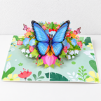 CouldNook Nature Pop-Up Greeting Card - Detailed Paper Scenes and Illustrated Covers