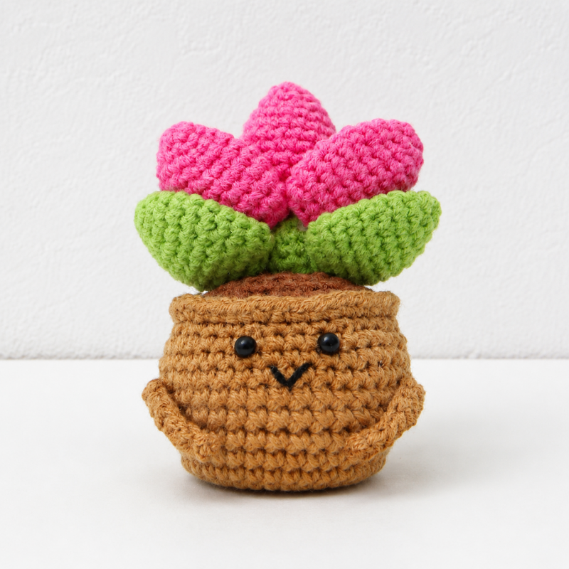 CouldNook Yarn Succulent Planter Figure - Assorted Facial Details