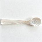 CouldNook Shell Condiment Spoon - Comfortable Handheld Shape Table Setting
