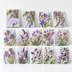 Lavender Time
