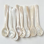 CouldNook Shell Condiment Spoon - Comfortable Handheld Shape Table Setting