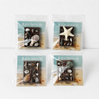 CouldNook Wooden Shell Fridge Magnet - Assorted Ocean Miniatures