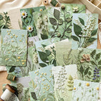 CouldNook Embossed Decorative Paper - Botanical Window Designs Collection