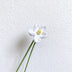 White Flower
