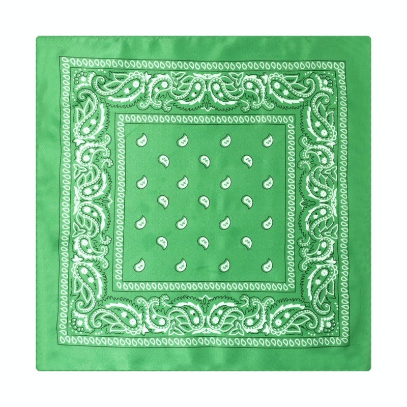 Paisley Print Culinary Bandanas - Polyester Square Headscarf(Set of 10)