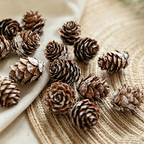White Mini Pine Cones Wall Decor - Christmas Natural Dried Plant Ornaments(12PCS)