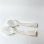 CouldNook Shell Seasoning Spoon - Sculpted Small Scale Design