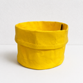 Cream Yellow