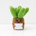 Brown Pot Succulent
