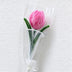 Peach Pink