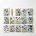 Blue Iris Path
