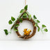 Brown Squirrel‑Leaf