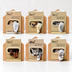 12Pcs