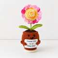 Sunflower Potted