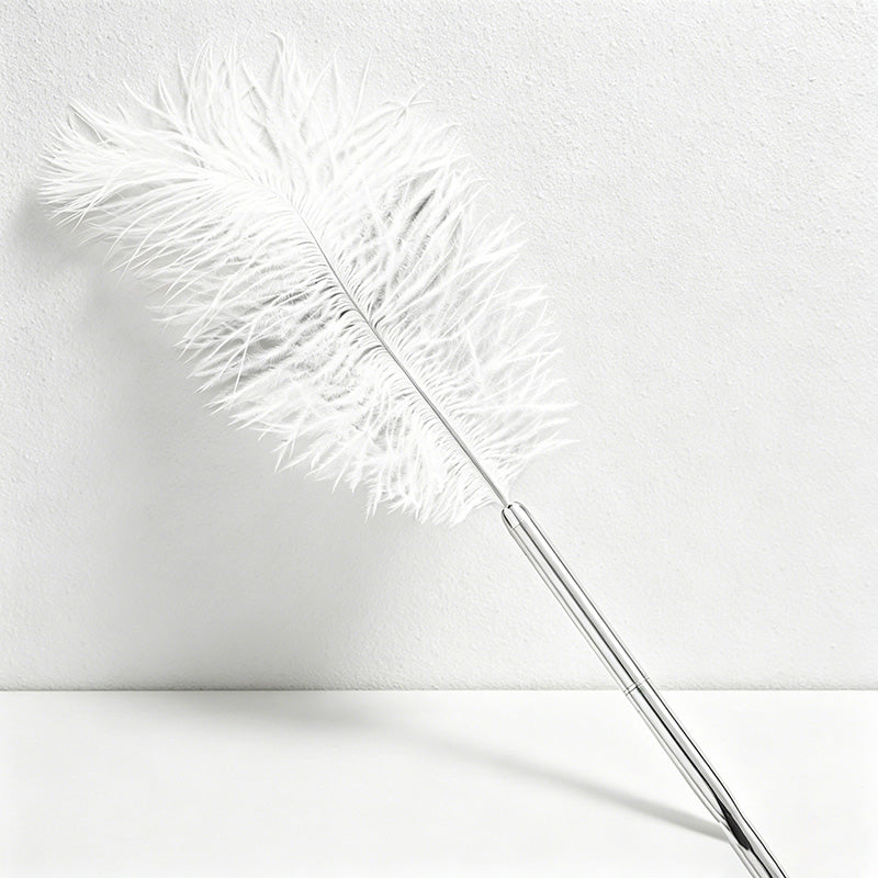 CouldNook Pen-Vintage Ostrich Feather Ballpoint Pen Elegant Gift Pen for Wedding Office Graduation