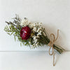 Purple Strawflower / One Size