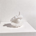 Seashell
