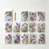 Lavender Time