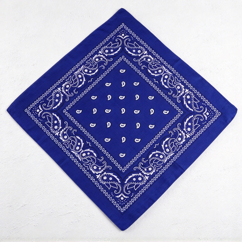 CouldNook Paisley Bandana - Square Shape And Ornamental Border