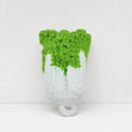 Cabbage