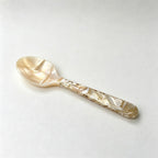 CouldNook Shell Dessert Spoon - Long Mosaic Handle Gift Options