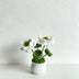 White Lotus Pot