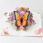 CouldNook Nature Pop-Up Greeting Card - Detailed Paper Scenes and Illustrated Covers