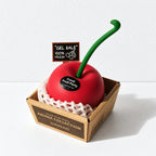 CouldNook Cherry Gel Air Freshener - Long Green Stem
