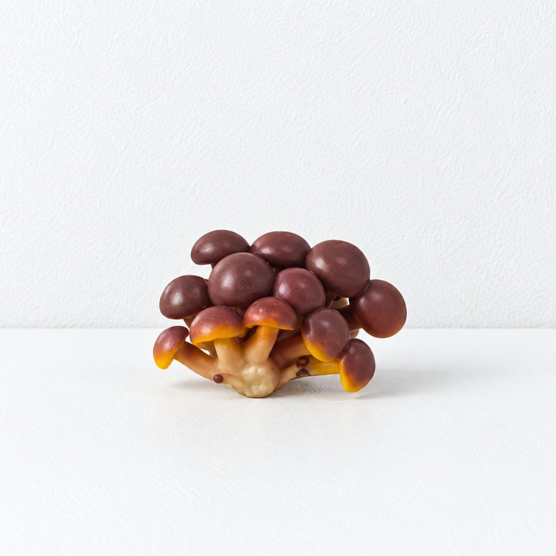 CouldNook Realistic Mushroom Magnet - Sculpted Woodland Forms Accent
