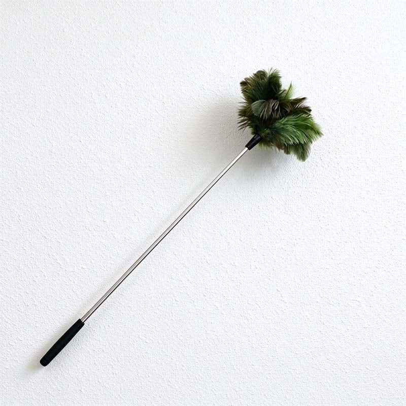 CouldNook Telescoping Ostrich Feather Duster - Slim Shaft And Dark Grip