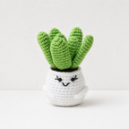 CouldNook Yarn Succulent Planter Figure - Assorted Facial Details