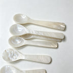 CouldNook Shell Seasoning Spoon - Sculpted Small Scale Design