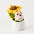 Rain‑Shelter Rabbit Style