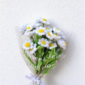 Pure Daisy