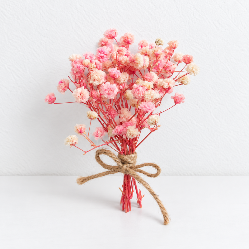 CouldNook Dried Flower Gift Bouquet - Mixed Botanical Styles