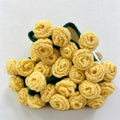 Yellow Rose